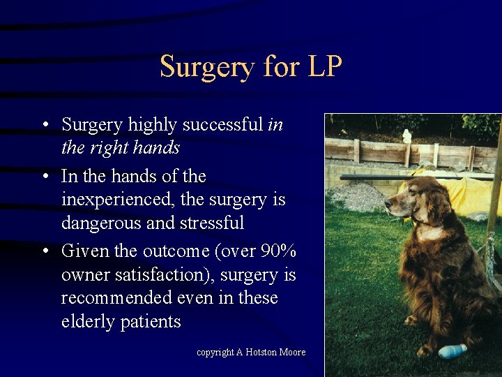 Surgery for LP • Surgery highly successful in the right hands • In the