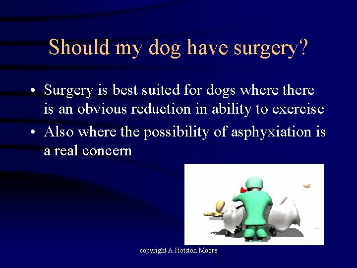 Should my dog have surgery? • Surgery is best suited for dogs where there