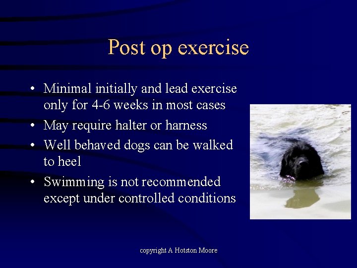 Post op exercise • Minimal initially and lead exercise only for 4 -6 weeks