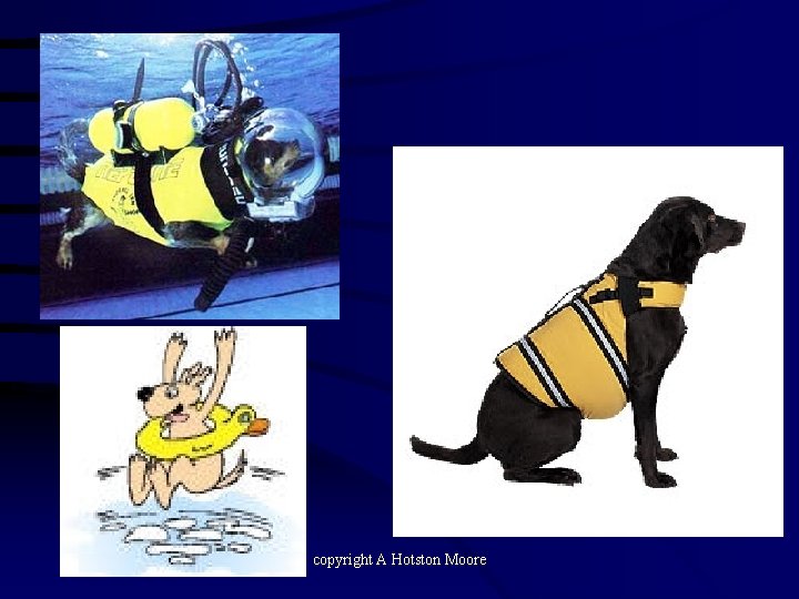 copyright A Hotston Moore 