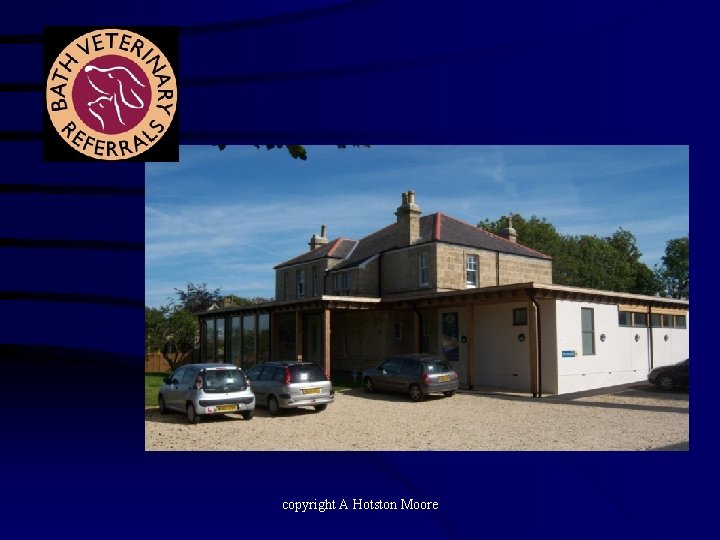 copyright A Hotston Moore 