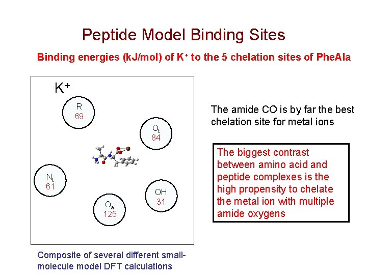 Peptide Model Binding Sites Binding energies (k. J/mol) of K+ to the 5 chelation