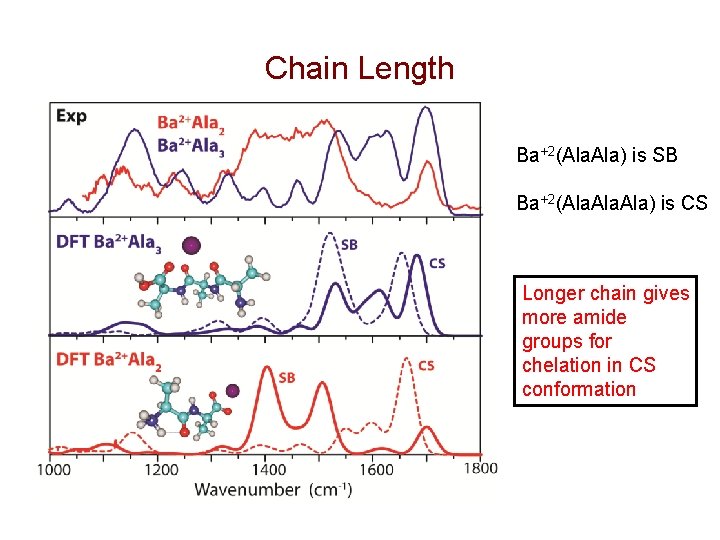 Chain Length Ba+2(Ala. Ala) is SB Ba+2(Ala. Ala) is CS Longer chain gives more