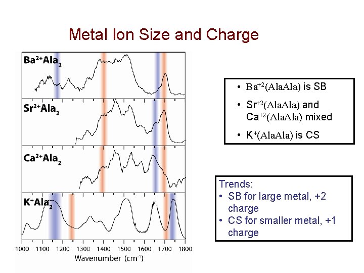 Metal Ion Size and Charge • Ba+2(Ala. Ala) is SB • Sr+2(Ala. Ala) and