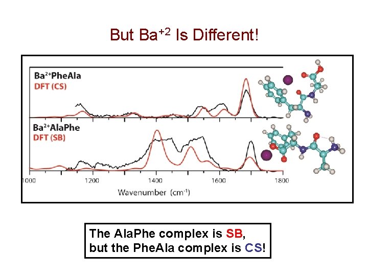 But Ba+2 Is Different! The Ala. Phe complex is SB, but the Phe. Ala