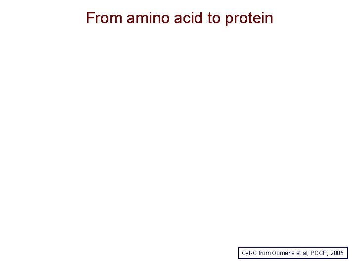 From amino acid to protein Cyt-C from Oomens et al, PCCP, 2005 