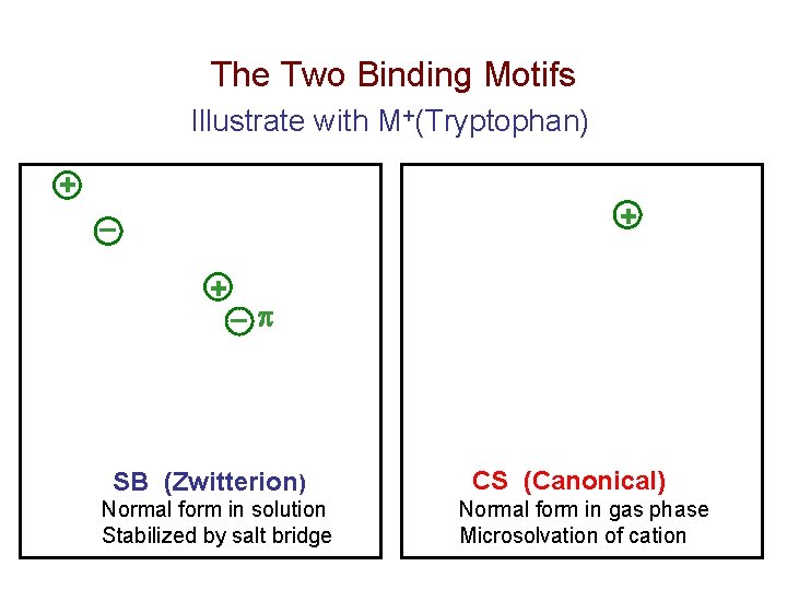 The Two Binding Motifs Illustrate with M+(Tryptophan) + + ¯ SB (Zwitterion) Normal form