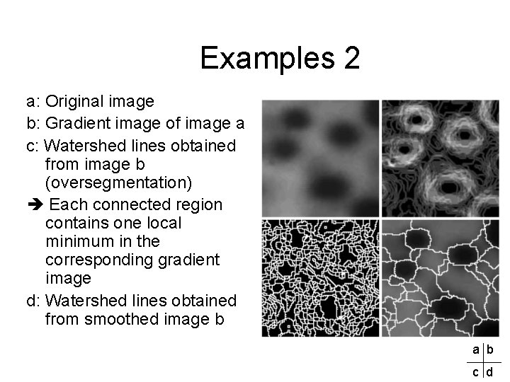Examples 2 a: Original image b: Gradient image of image a c: Watershed lines Examples 2 a: Original image b: Gradient image of image a c: Watershed lines