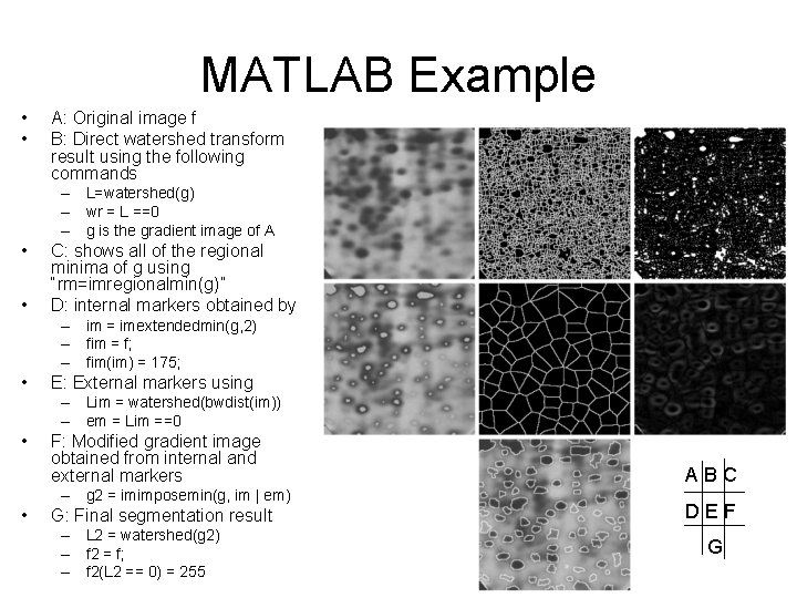 MATLAB Example • • A: Original image f B: Direct watershed transform result using MATLAB Example • • A: Original image f B: Direct watershed transform result using
