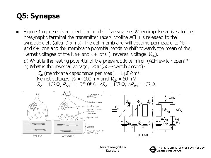 Q 5: Synapse n Figure 1 represents an electrical model of a synapse. When
