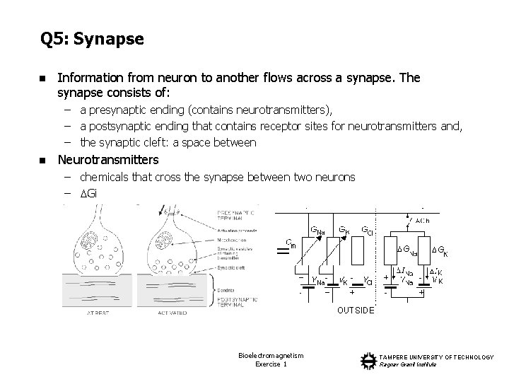 Q 5: Synapse n Information from neuron to another flows across a synapse. The