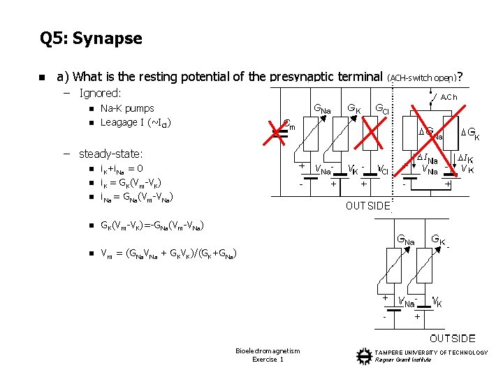 Q 5: Synapse n a) What is the resting potential of the presynaptic terminal