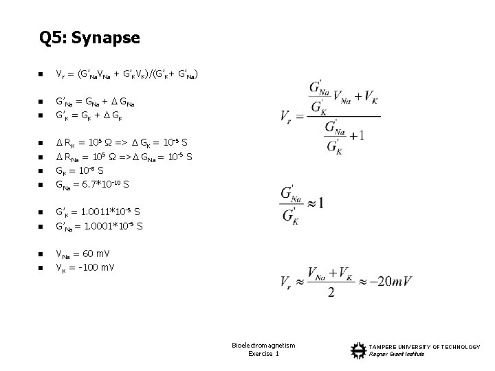 Q 5: Synapse n Vr = (G’Na. VNa + G’KVK)/(G’K+ G’Na) n G’Na =