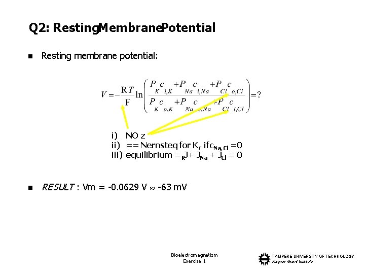 Q 2: Resting. Membrane. Potential n Resting membrane potential: i) NO z ii) ==