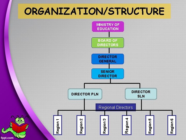 ORGANIZATION/STRUCTURE MINISTRY OF EDUCATION BOARD OF DIRECTORS DIRECTOR GENERAL SENIOR DIRECTOR SLN DIRECTOR PLN