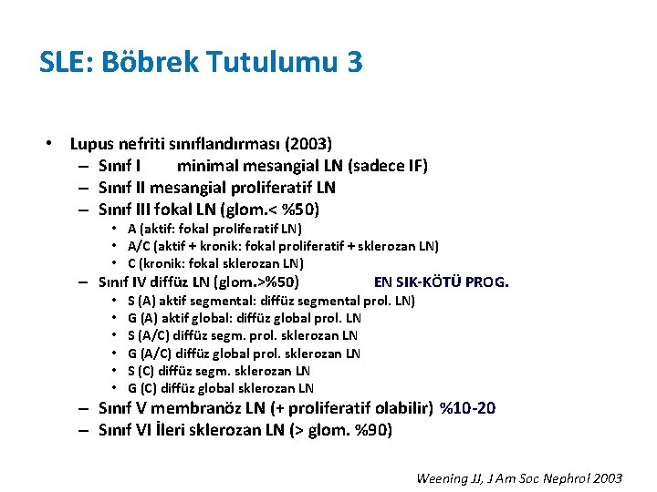 SLE: Böbrek Tutulumu 3 • Lupus nefriti sınıflandırması (2003) – Sınıf I minimal mesangial