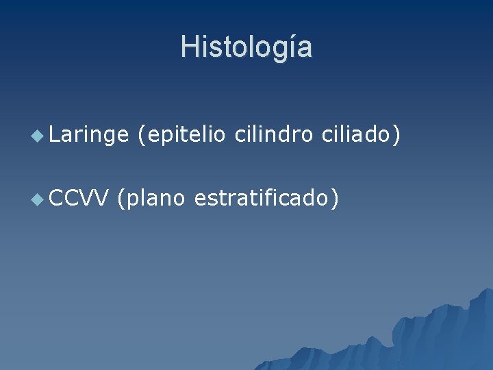 Histología u Laringe u CCVV (epitelio cilindro ciliado) (plano estratificado) 