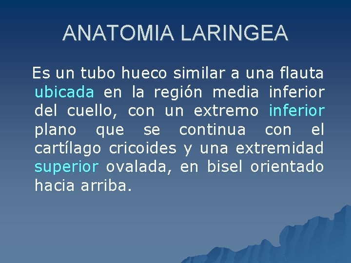 ANATOMIA LARINGEA Es un tubo hueco similar a una flauta ubicada en la región