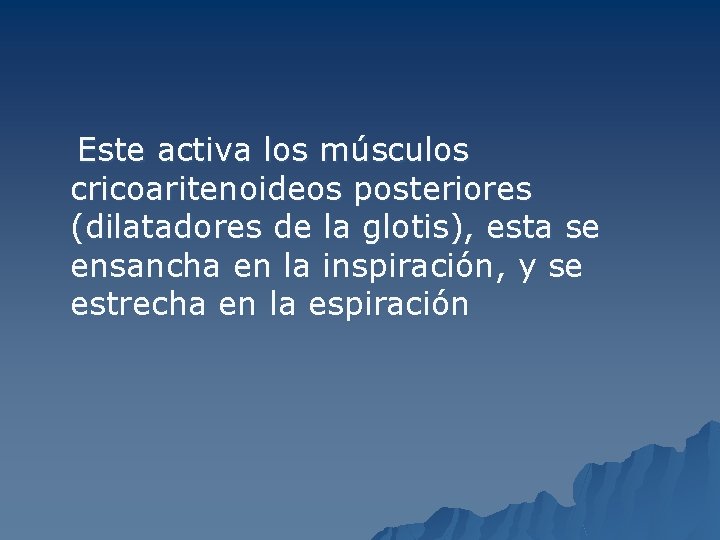 Este activa los músculos cricoaritenoideos posteriores (dilatadores de la glotis), esta se ensancha en