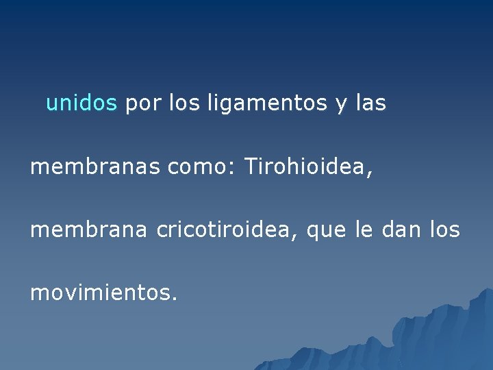 unidos por los ligamentos y las membranas como: Tirohioidea, membrana cricotiroidea, que le dan
