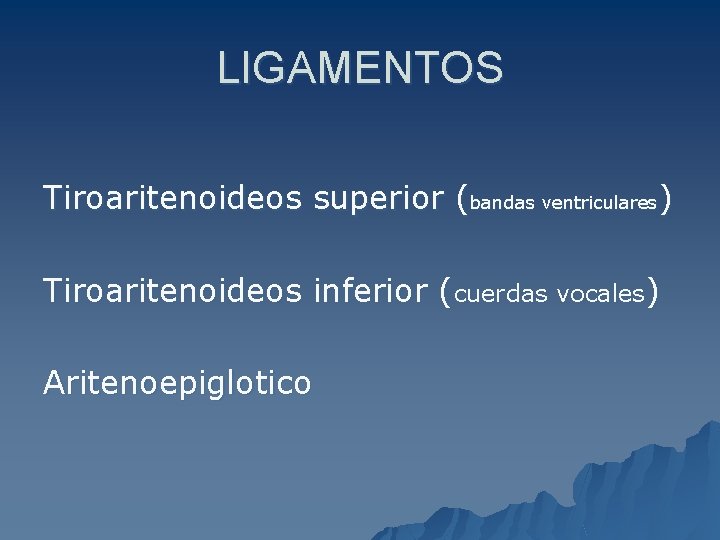 LIGAMENTOS Tiroaritenoideos superior (bandas ventriculares) Tiroaritenoideos inferior (cuerdas vocales) Aritenoepiglotico 