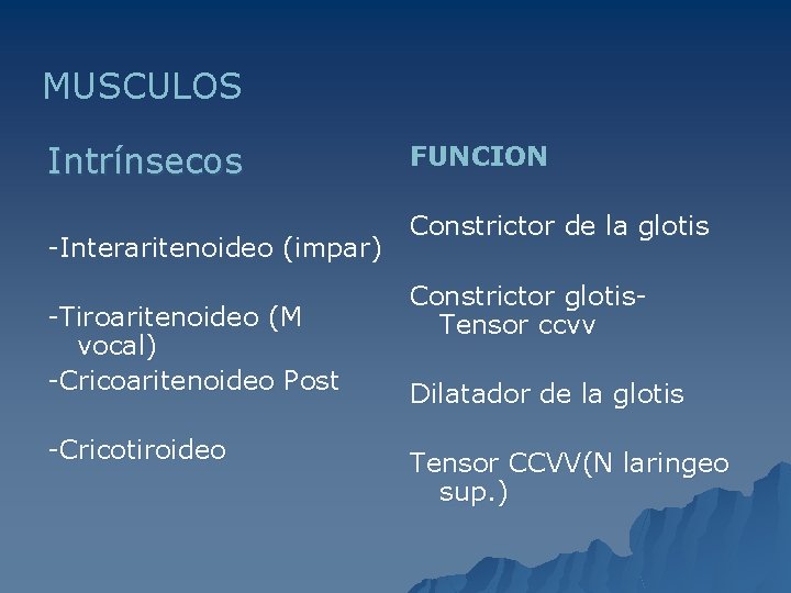MUSCULOS Intrínsecos -Interaritenoideo (impar) -Tiroaritenoideo (M vocal) -Cricoaritenoideo Post -Cricotiroideo FUNCION Constrictor de la