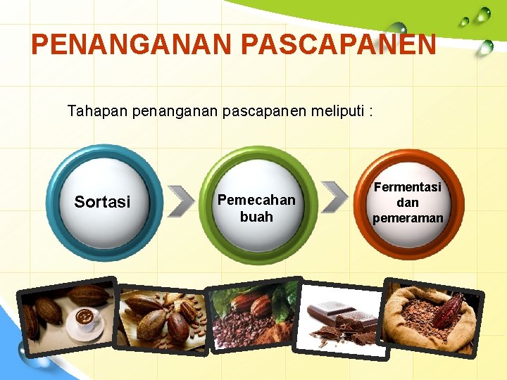 PENANGANAN PASCAPANEN Tahapan penanganan pascapanen meliputi : Sortasi Pemecahan buah Fermentasi dan pemeraman 