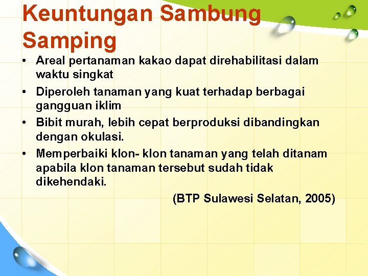 Keuntungan Sambung Samping • Areal pertanaman kakao dapat direhabilitasi dalam waktu singkat • Diperoleh