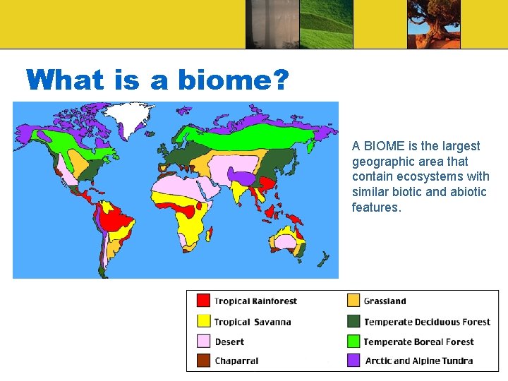 What is a biome? A BIOME is the largest geographic area that contain ecosystems