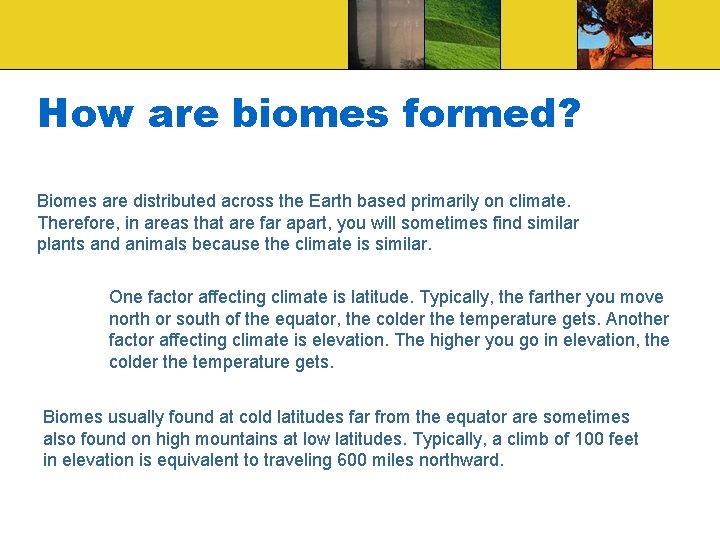 How are biomes formed? Biomes are distributed across the Earth based primarily on climate.