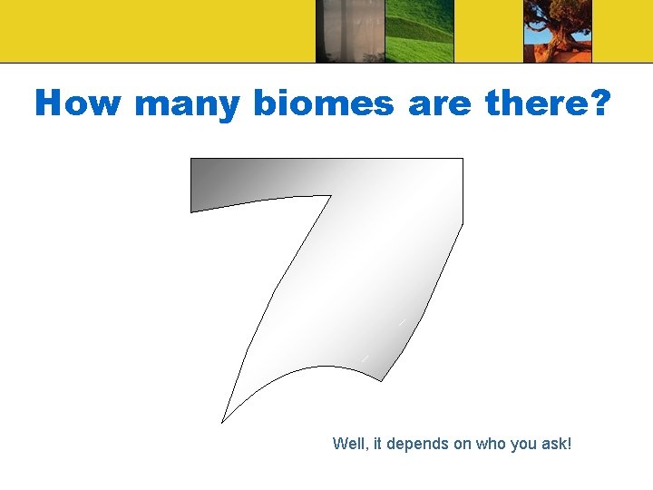 How many biomes are there? Well, it depends on who you ask! 