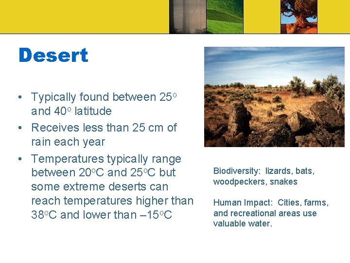 Desert • Typically found between 25 o and 40 o latitude • Receives less