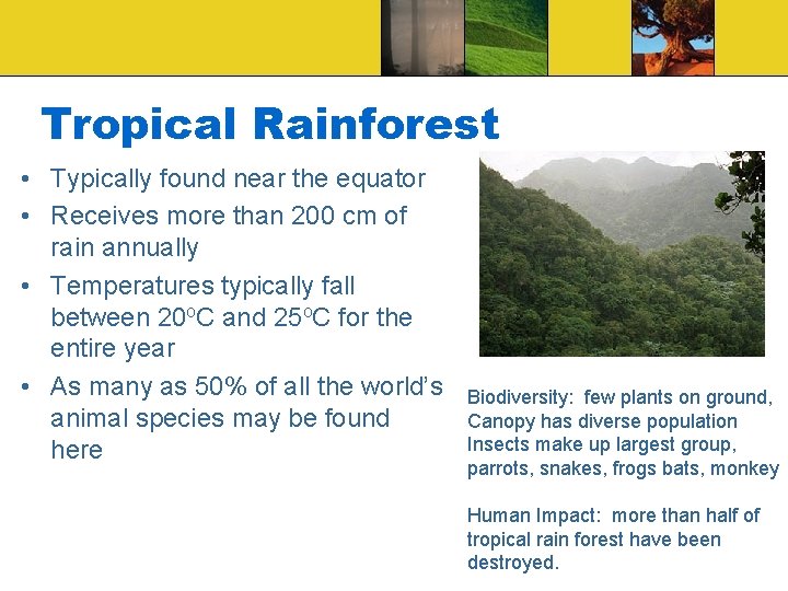 Tropical Rainforest • Typically found near the equator • Receives more than 200 cm