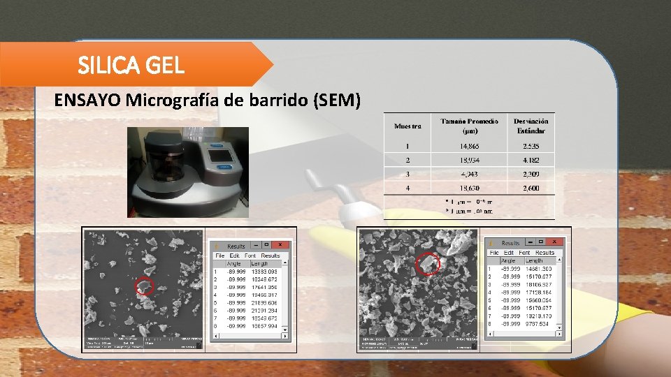 SILICA GEL ENSAYO Micrografía de barrido (SEM) 