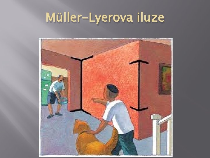 Müller-Lyerova iluze 
