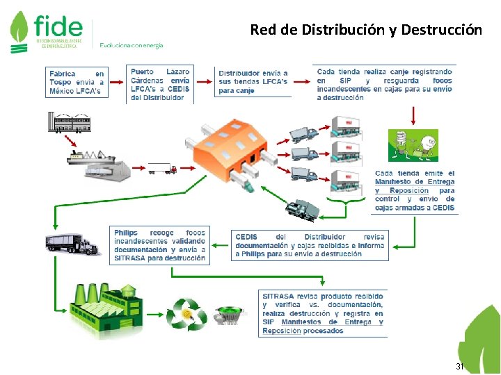 Red de Distribución y Destrucción 31 