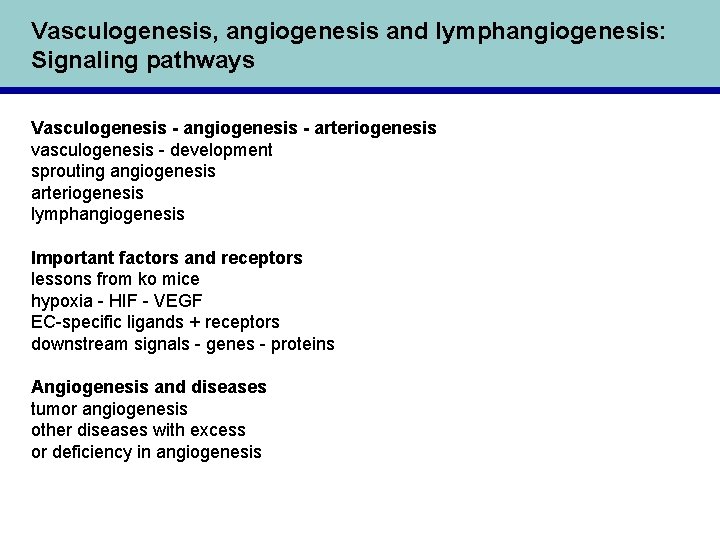 Vasculogenesis, angiogenesis and lymphangiogenesis: Signaling pathways Vasculogenesis - angiogenesis - arteriogenesis vasculogenesis - development