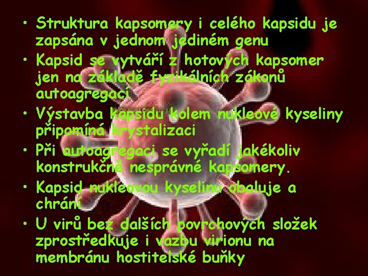  • Struktura kapsomery i celého kapsidu je zapsána v jednom jediném genu •