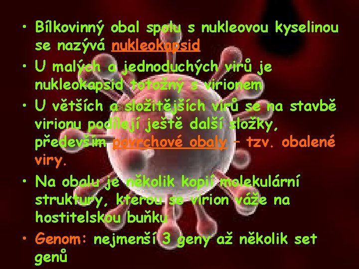  • Bílkovinný obal spolu s nukleovou kyselinou se nazývá nukleokapsid • U malých