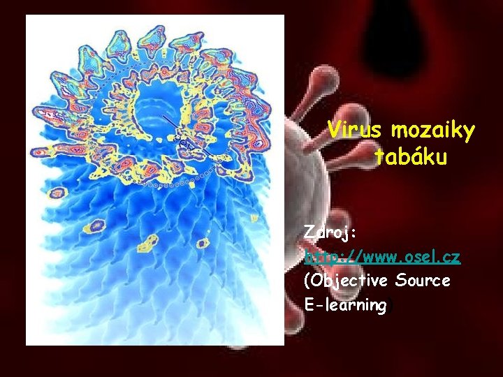 Virus mozaiky tabáku Zdroj: http: //www. osel. cz (Objective Source E-learning) 