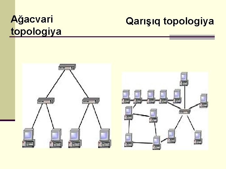 Ağacvari topologiya Qarışıq topologiya 