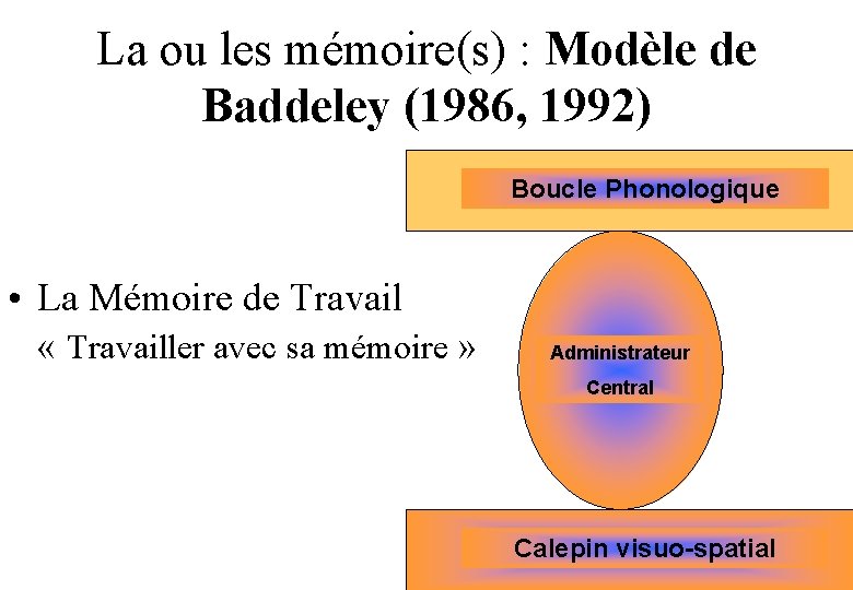 La ou les mémoire(s) : Modèle de Baddeley (1986, 1992) Boucle Phonologique • La