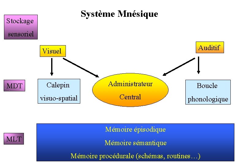 Système Mnésique Stockage sensoriel Auditif Visuel MDT Calepin Administrateur Boucle visuo-spatial Central phonologique Mémoire