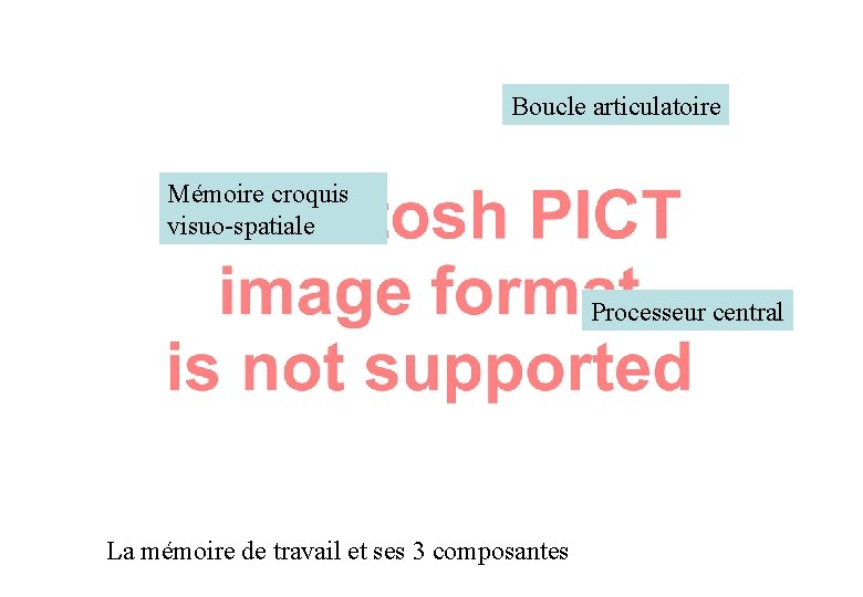 Boucle articulatoire Mémoire croquis visuo-spatiale Processeur central La mémoire de travail et ses 3
