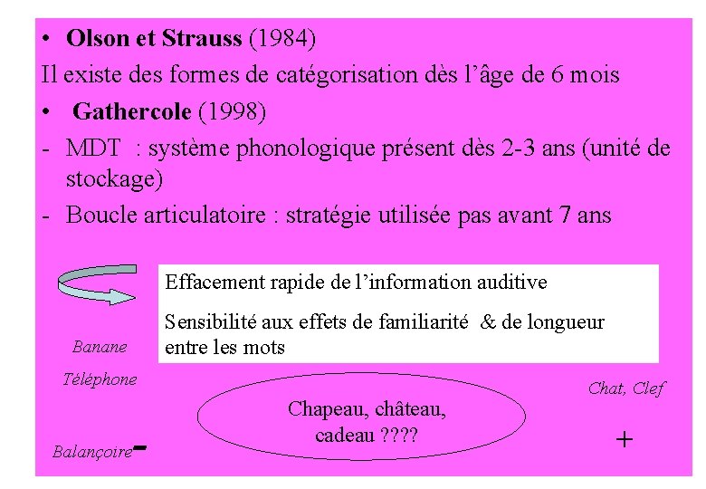  • Olson et Strauss (1984) Il existe des formes de catégorisation dès l’âge