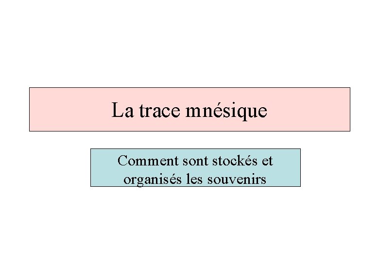 La trace mnésique Comment sont stockés et organisés les souvenirs 