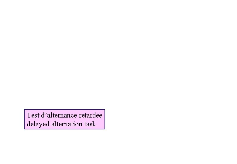 Test d’alternance retardée delayed alternation task 