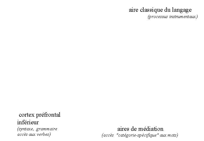 aire classique du langage (processus instrumentaux) couleurs noms propres cortex préfrontal inférieur (syntaxe, grammaire