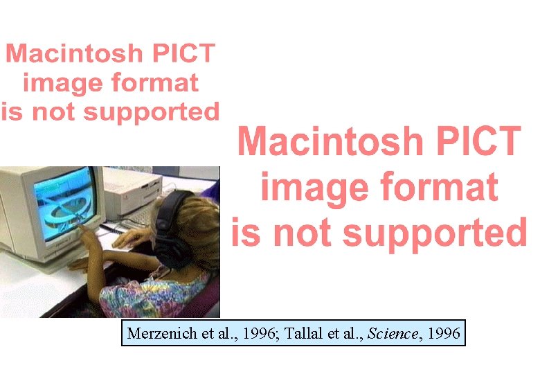 Merzenich et al. , 1996; Tallal et al. , Science, 1996 