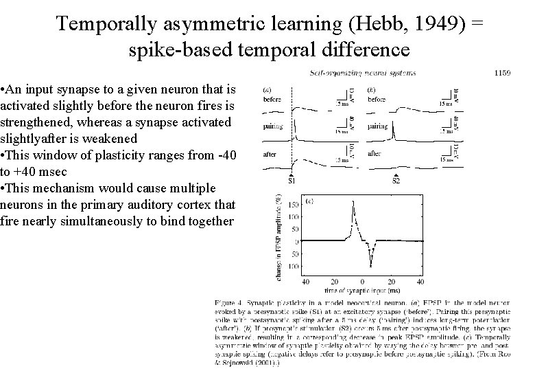 Temporally asymmetric learning (Hebb, 1949) = spike-based temporal difference • An input synapse to